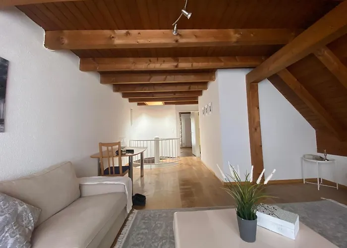 Get Cozy Family Flat Zuerich
